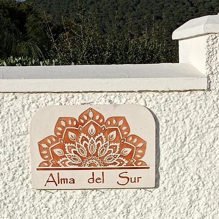 Alma Canos De Meca Los Canos De Meca Exterior foto